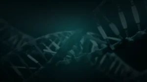Alchemy Peptides